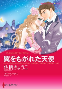 翼をもがれた天使【あとがき付き】