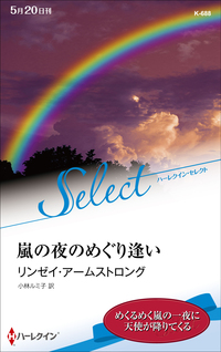 嵐の夜のめぐり逢い【ハーレクイン・セレクト版】